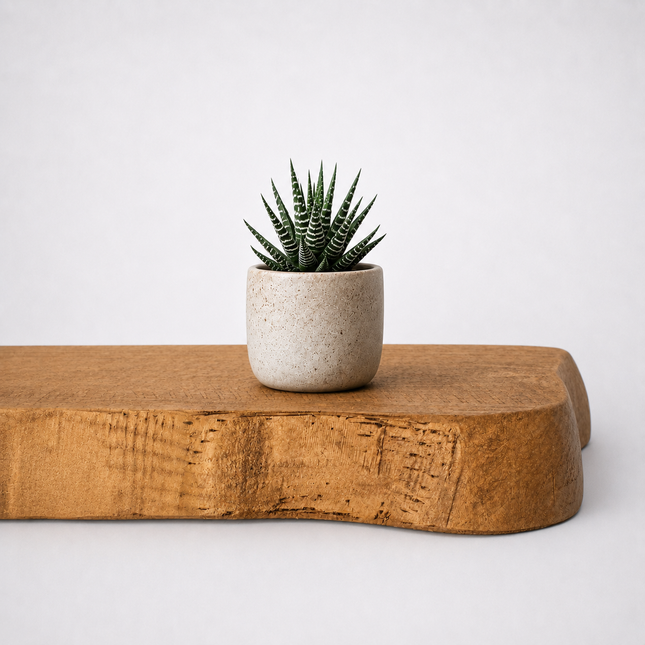 Croxby Live Edge Round Corners Rustic Floating Shelf